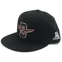 33 Symbols Dirty Bird Black Snap Back