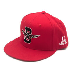 33 Symbols Dirty Bird Red Snap Back